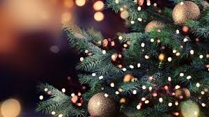 Christmas Lectures a Vercelli e Alessandria