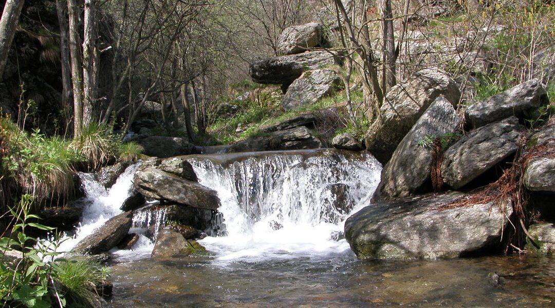 UPO per l’ambiente: Torrente Pellice