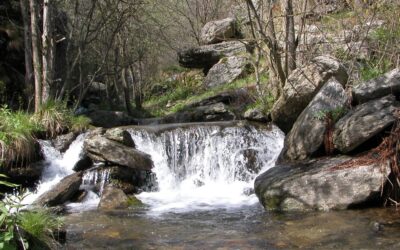 UPO per l’ambiente: Torrente Pellice