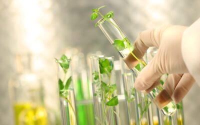 Nuove LAUREE per l’UPO: verso il futuro e l’innovazione.