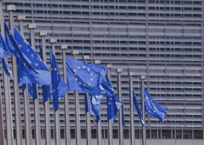 EUVOTER bandiere dell'Unione Europea