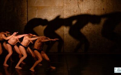 Borgogna – Il Museo da ottobre a gennaio